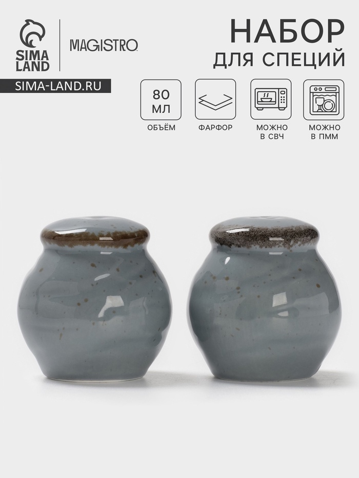 Набор для специй Magistro Alpine Frost, 2 предмета: перечница, солонка, 80 мл, 5×6 см, фарфор, голубовато-серый - Фото 1
