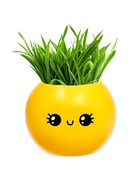 УЦЕНКА Набор для опытов, для детей «Выращиваем травку», растение в горшочке - эмодзи «Милый» - Фото 1