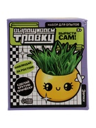 УЦЕНКА Набор для опытов, для детей «Выращиваем травку», растение в горшочке - эмодзи «Милый» - Фото 6