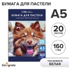Бумага для пастели А5, 20 листов "Собака", блок 160 г/м2, в папке - Фото 1