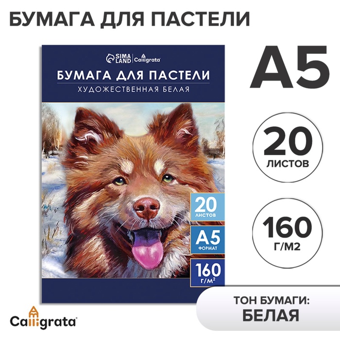 Бумага для пастели А5, 20 листов "Собака", блок 160 г/м2, в папке - Фото 1