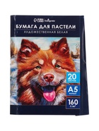 Бумага для пастели А5, 20 листов "Собака", блок 160 г/м2, в папке - Фото 8