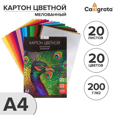 Картон цветной А4, 20 листов, 20 цветов, волшебный (золото+серебро) Calligrata TOP, мелованный 200 г/м², в папке