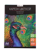 Картон цветной А4, 20 листов, 20 цветов, волшебный (золото+серебро) Calligrata TOP, мелованный 200 г/м², в папке - Фото 5