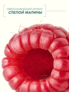 Гель для душа, увлажнение и уход, аромат малины, 250 мл, Рябина - Фото 2