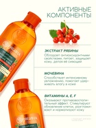 Гель для душа, интенсивное питание кожи, аромат рябины, 250 мл, Рябина - Фото 4