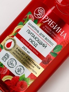 Шампунь для волос, питающий уход, аромат малины, 250 мл, Рябина - Фото 10