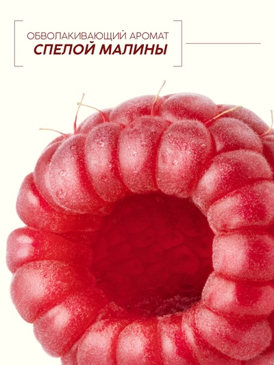 Шампунь для волос, питающий уход, аромат малины, 400 мл, Рябина