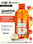 Шампунь для волос, молодость и объем, аромат рябины, 250 мл, Рябина - Фото 1