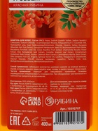 Шампунь для волос, молодость и объем, аромат рябины, 400 мл, Рябина - Фото 14