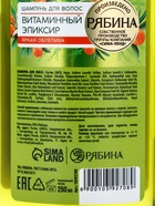 Шампунь для волос, витаминный эликсир, аромат облепихи, 250 мл, Рябина - Фото 14