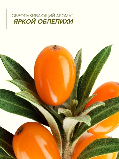 Мыло жидкое для рук, увлажнение и забота, аромат облепихи, 250 мл, Рябина