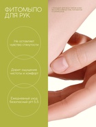 Мыло жидкое для рук, увлажнение и забота, аромат облепихи, 250 мл, Рябина - Фото 4