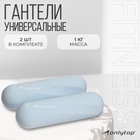 УЦЕНКА Гантели Onlytop для универсального отягощения 2×1 кг, серо-голубые - Фото 1