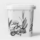 УЦЕНКА Контейнер для муки и сахара, 25 л, 36.5×36.5×35.7 см, без крышки, МИКС - Фото 3