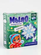 УЦЕНКА Набор «Мыло своими руками. Снежинка» МИКС 1 форма 10878894