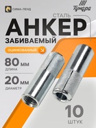 Анкер ТУНДРА, забиваемый, стальной, оцинкованный, М20×80 мм, 10 шт. - Фото 1