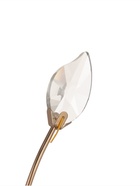 Бра «Валенсия» 1хЕ14 40 Вт золото - фото 5020897