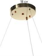 Люстра Charlotte 70 Вт LED 4000-6000К золото 51×60×12+120 см - фото 41383727