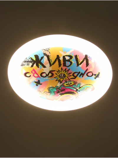 Потолочный светильник светодиодный BayerLux «Живи свободно», 120 Вт, LED, 49.5×49.5×6.5 см