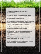 Газонная травосмесь Микс «Мой Выбор», травосмесь, 3 кг 10872573 - фото 16363568