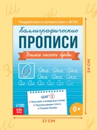 Прописи «Шаг 1. Учимся писать буквы», 36 стр. - фото 809447293