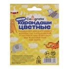 УЦЕНКА Карандаши 12 цветов МИНИ в картонной коробке CALLIGRATA, деревянные, треугольные - Фото 6