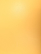 Миска для животных БЕГЕМОТ  0,3л,Soft-touch, банановый 10878385 - фото 14534846