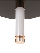 Светильник «Найт» 2×5 Вт LED 4000К черный/золото 24×24×38(+150)см - фото 5023034