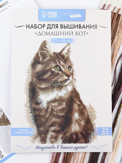 Вышивка крестиком «Домашний кот», набор для творчества, 21×30 см