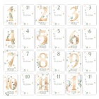 Карточки для фотосессии малыша, 10×15 см, набор 24 шт. - Фото 3