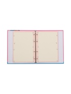 Тетрадь на кольцах 80л кл PENNY BOARD, со смен блоком, тв обл, бл 60 г/м2 10878112 - фото 16170551