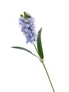 Цветы искусственные «Гиацинт галант», 66×5 см, бело-голубые  (артикул 10709214)  большой выбор товаров оптом и в розницу по низким ценам с доставкой