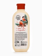 Пена для ванны, аромат: морозная рябина, 250 мл РЯБИНА - Фото 6