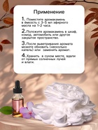 Аромакамень для эфирных масел «Фигурка. Жаба на деньгах», для шкафа, гипс, 7×4×3 см - Фото 2