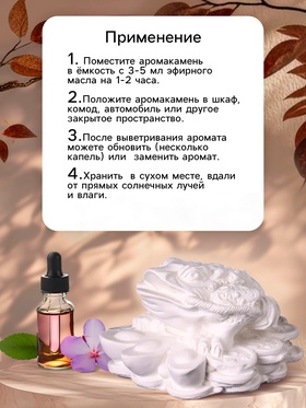 Аромакамень для эфирных масел «Фигурка. Жаба на деньгах», для шкафа, гипс, 7×4×3 см