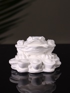 Аромакамень для эфирных масел «Фигурка. Жаба на деньгах», для шкафа, гипс, 7×4×3 см - Фото 4