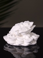 Аромакамень для эфирных масел «Фигурка. Жаба на деньгах», для шкафа, гипс, 7×4×3 см - Фото 6