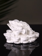 Аромакамень для эфирных масел «Фигурка. Жаба на деньгах», для шкафа, гипс, 7×4×3 см - Фото 8