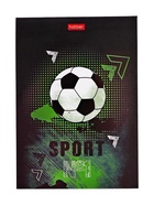 Блокнот А6, 24 листа в клетку на скобе Hatber «Для мальчиков», обложка мелованныя бумага, глянцевая ламинация, блок офсет, МИКС 6 видов 10881873