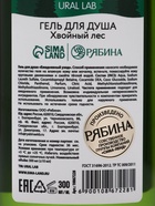 Гель для душа, 300 мл, Bright Christmas night, аромат: хвойный лес, Ural Lab Winter Melody 10867228 - фото 16511206