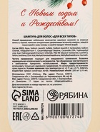 Шампунь для волос «Сила и сияние», аромат: морозная рябина, 250 мл РЯБИНА 10867274 - фото 16511226