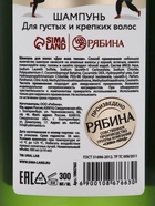 Шампунь для волос, аромат: кокосовый снежок, 300 мл, URAL LAB - Фото 9