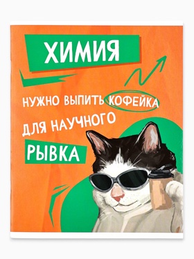 Предметная тетрадь А5, 48 л на скрепке внутренний блок №2 "Мемы. Химия"