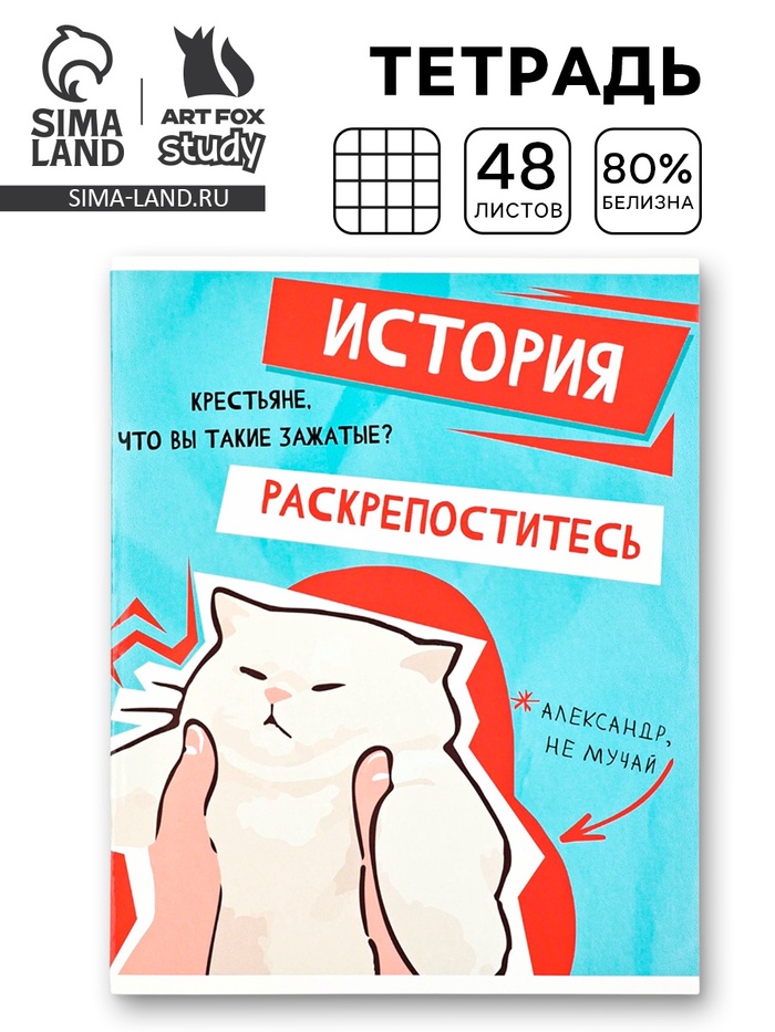 Тетрадь в клетку, предметная, 48 л.,на скрепке, А5 «Мемы. История» - Фото 1