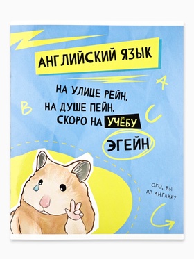 Предметная тетрадь А5, 48 л на скрепке внутренний блок №2 "Мемы. Английский язык"