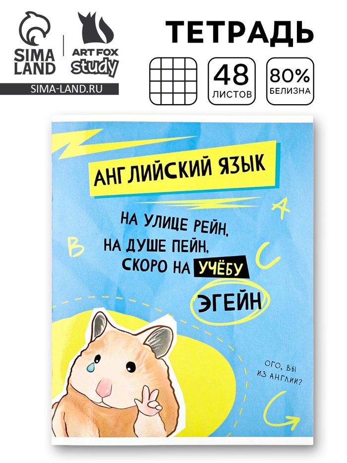Тетрадь в клетку, предметная, 48 л.,на скрепке, А5 «Мемы. Английский язык» - Фото 1
