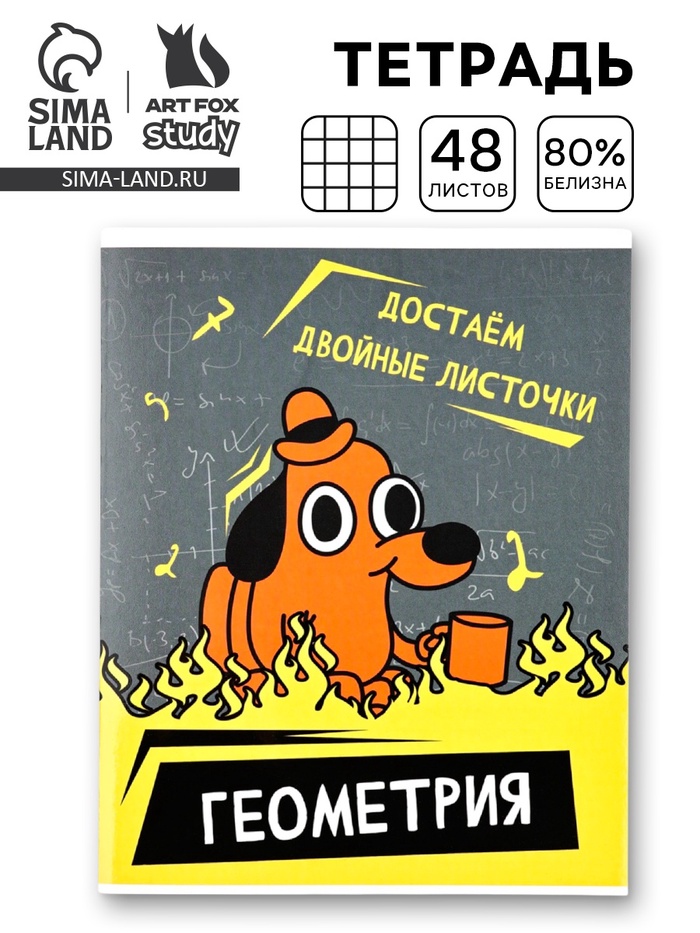 Тетрадь в клетку, предметная, 48 л.,на скрепке, А5 «Мемы. Геометрия» - Фото 1