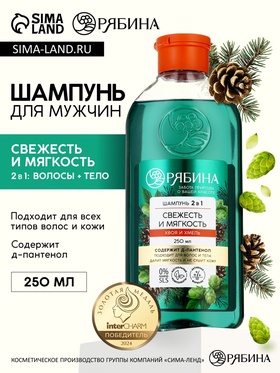 Мужской шампунь 2 в 1, 250 мл 10863761