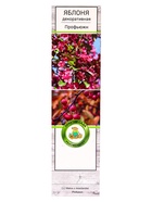 Яблоня декоративная Профьюжн, туба, 1 шт, Лето 2025 10872227